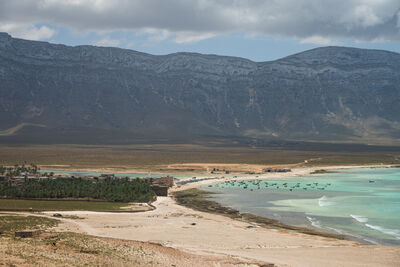 Image of Qalansiyah Views, Socotra - Qalansiyah Views, Socotra