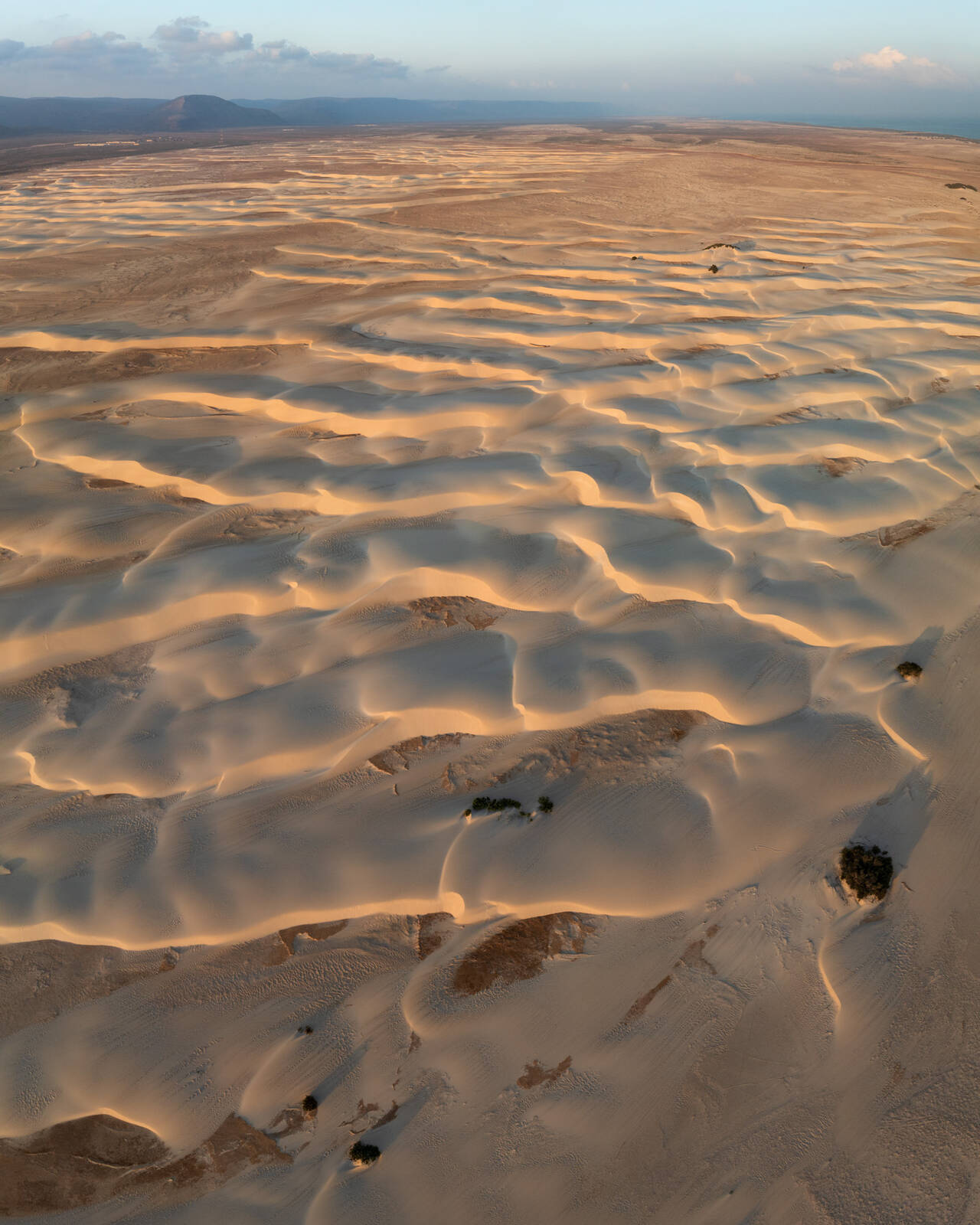Image of Zahek Sand Dunes by Luka Esenko
