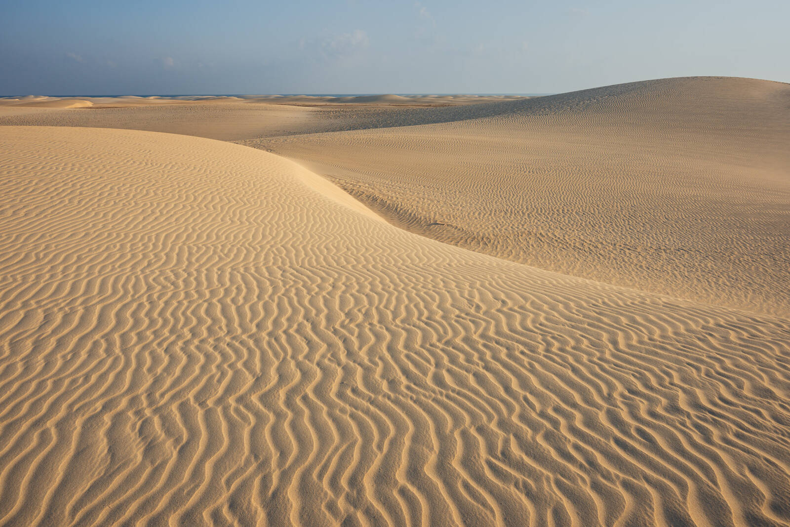 Image of Zahek Sand Dunes by Luka Esenko