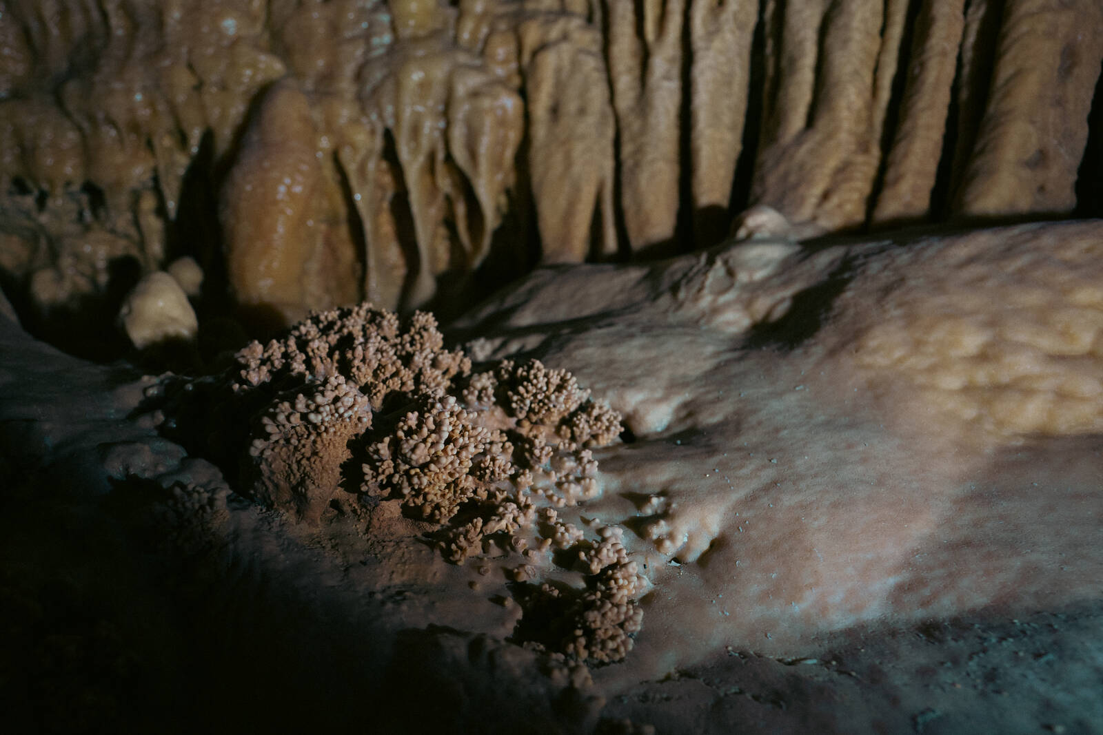 Image of Natural Bridge Caverns by James Billings.