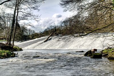 The River Derwent in full flow over Calver weir. It was built to provide water power to Calver Mill further down the river.  
In the early 2000s restoration work was carried out, which was completed in 2010 at a cost of over £1.4 million.