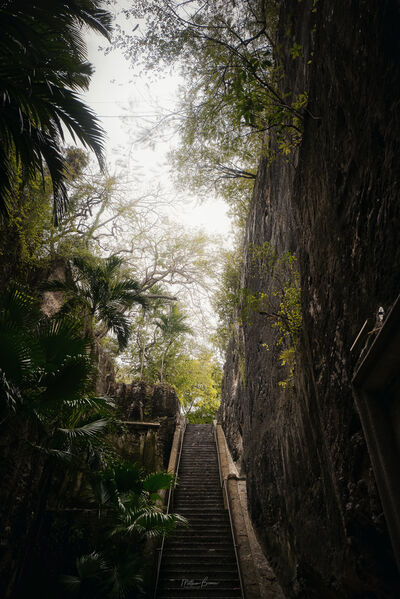 pictures of The Bahamas - The Queen's Staircase