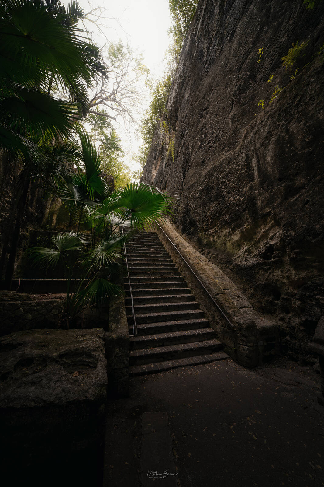 Image of The Queen\'s Staircase by Mathew Browne