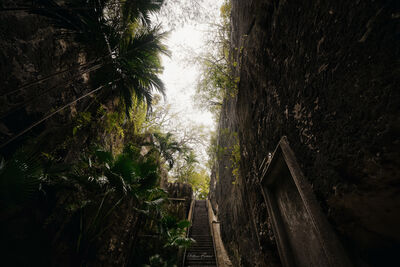 The Bahamas pictures - The Queen's Staircase