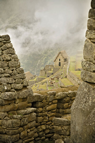 Image of Machu Picchu, Peru - Machu Picchu, Peru