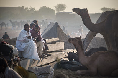 photos of India - Pushkar Camel Fair