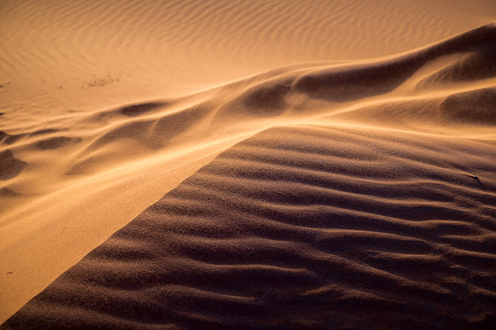 Image of Merzouga Sand Dunes by Darlene Hildebrandt