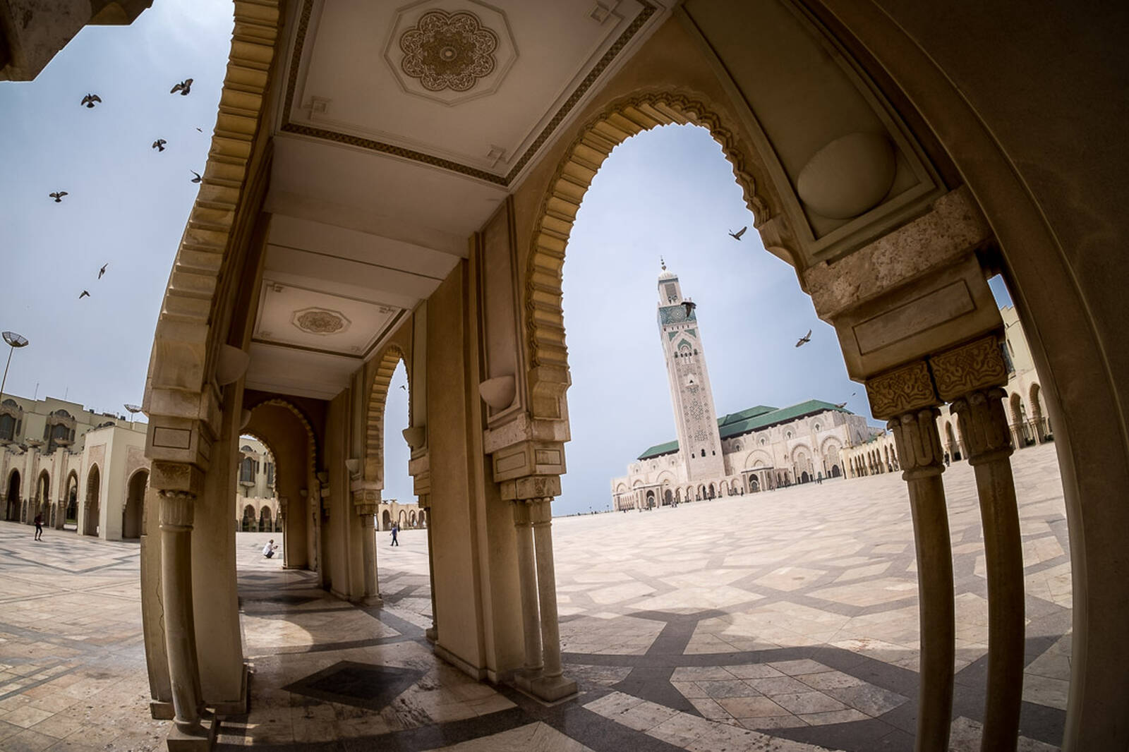 Image of Hassan II Mosque by Darlene Hildebrandt