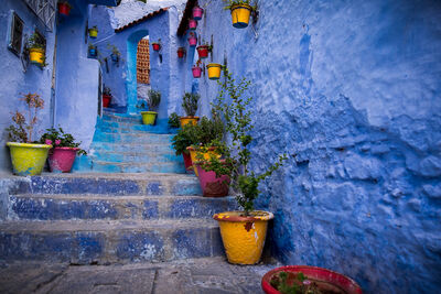 Morocco images - Chefchaouen Old Town