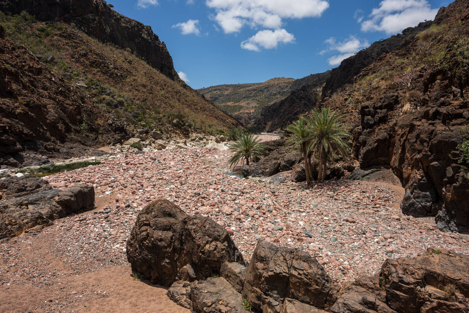 Image of Wadi Dirhur by Luka Esenko