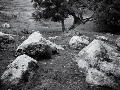 Dorset instagram spots - Valley of Stones, Dorset