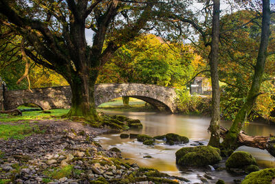 Beautiful stone bridge 