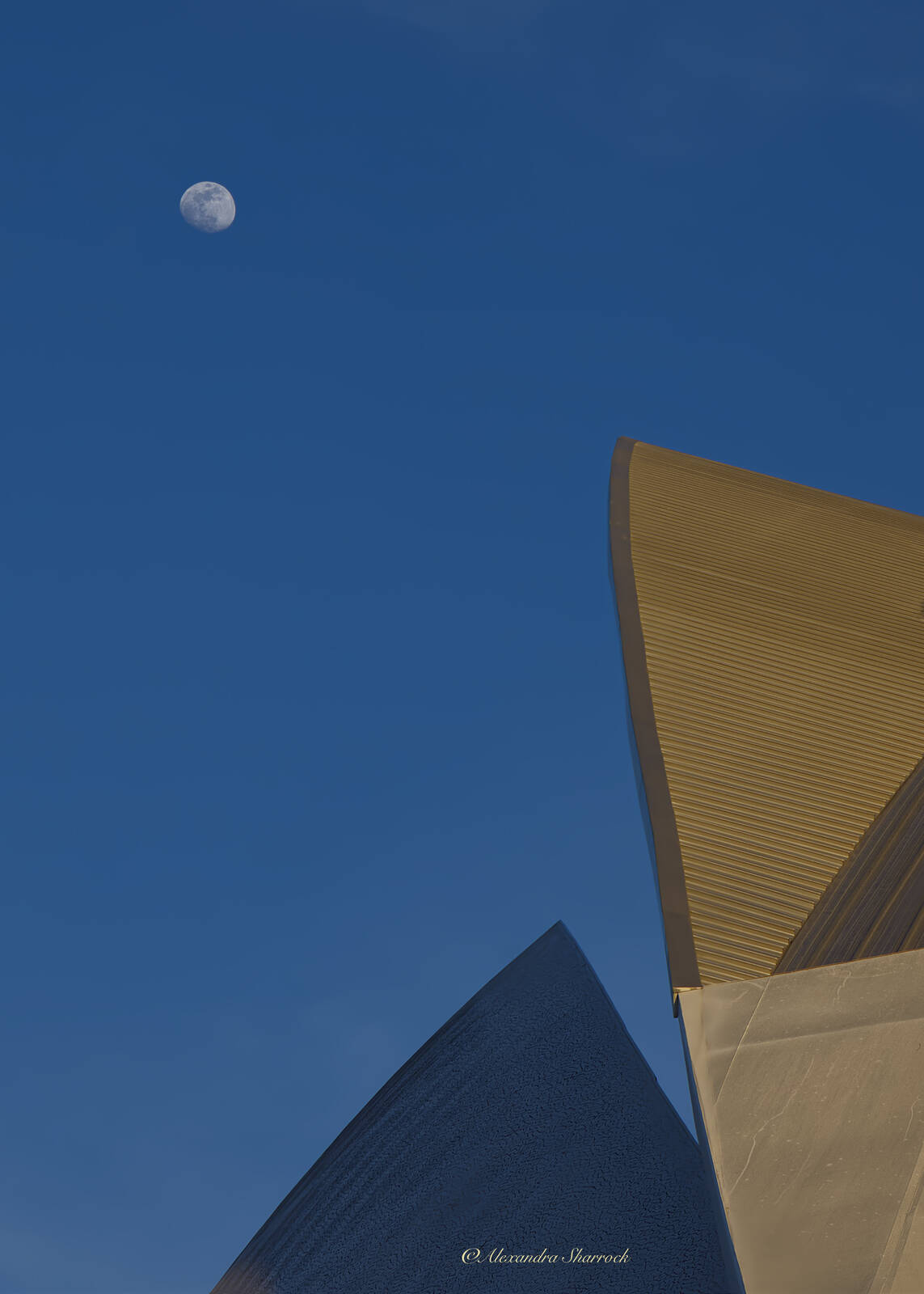 Image of Queen Sofia Palace of Arts - Exterior by Alexandra Sharrock