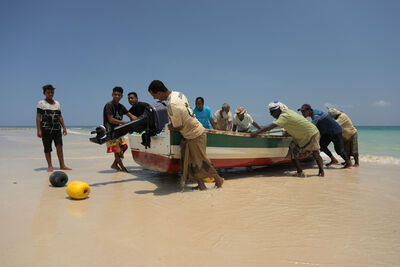 Hadibu photography spots - Fishing Boats at Qadib Village