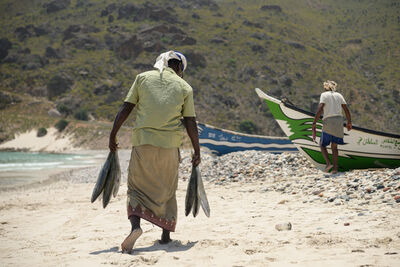 images of Yemen - Fishing Boats at Qadib Village