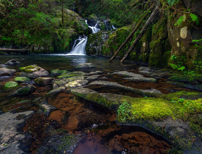 Lane County instagram spots - Sweet Creek Falls