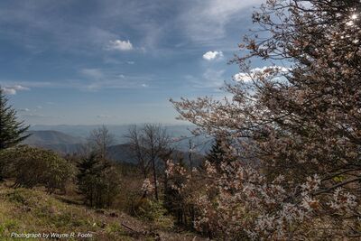 pictures of the United States - Blue Ridge Parkway, Cowee Mountain Overlook