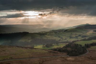 Hope Valley Rays