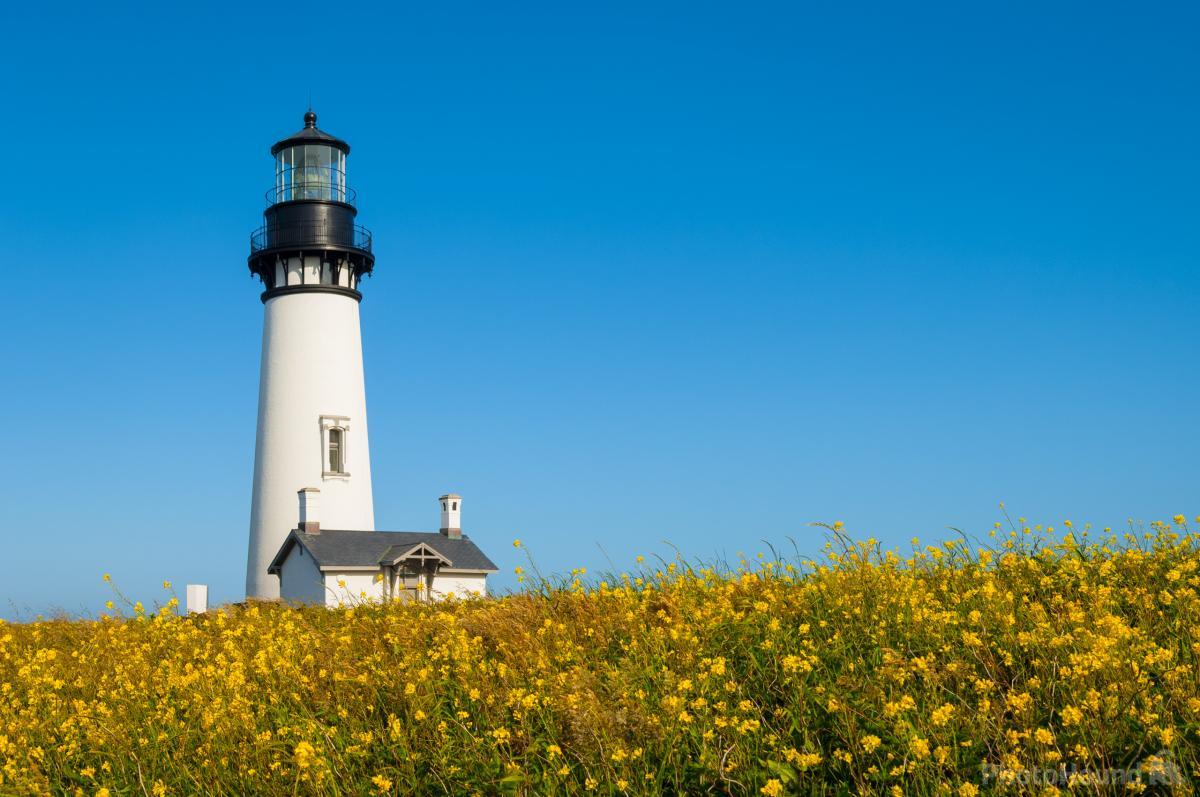Image of Yaquina Head Natural Area by Greg Vaughn