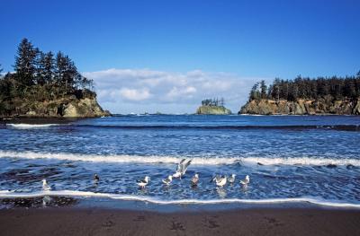 photo spots in Oregon Coast - Sunset Bay State Park