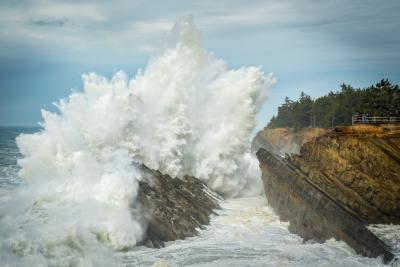 Oregon Coast photography guide - Shore Acres State Park