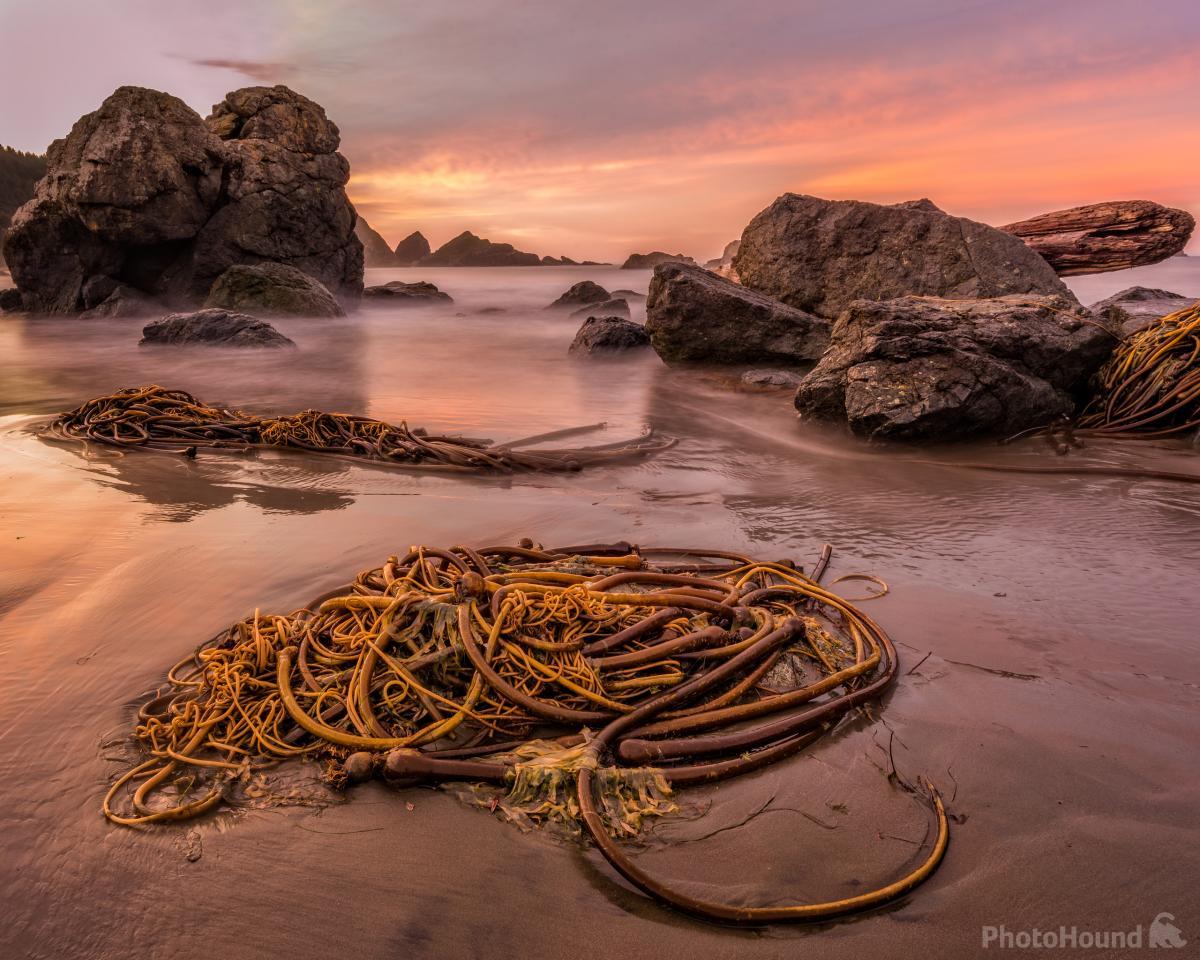 Image of Lone Ranch Beach by Greg Vaughn