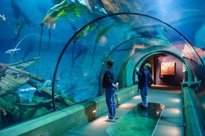 photo locations in Oregon - Newport - Oregon Coast Aquarium