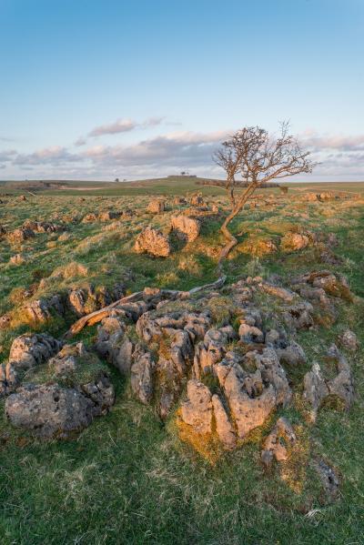 images of The Peak District - Roystone Rocks