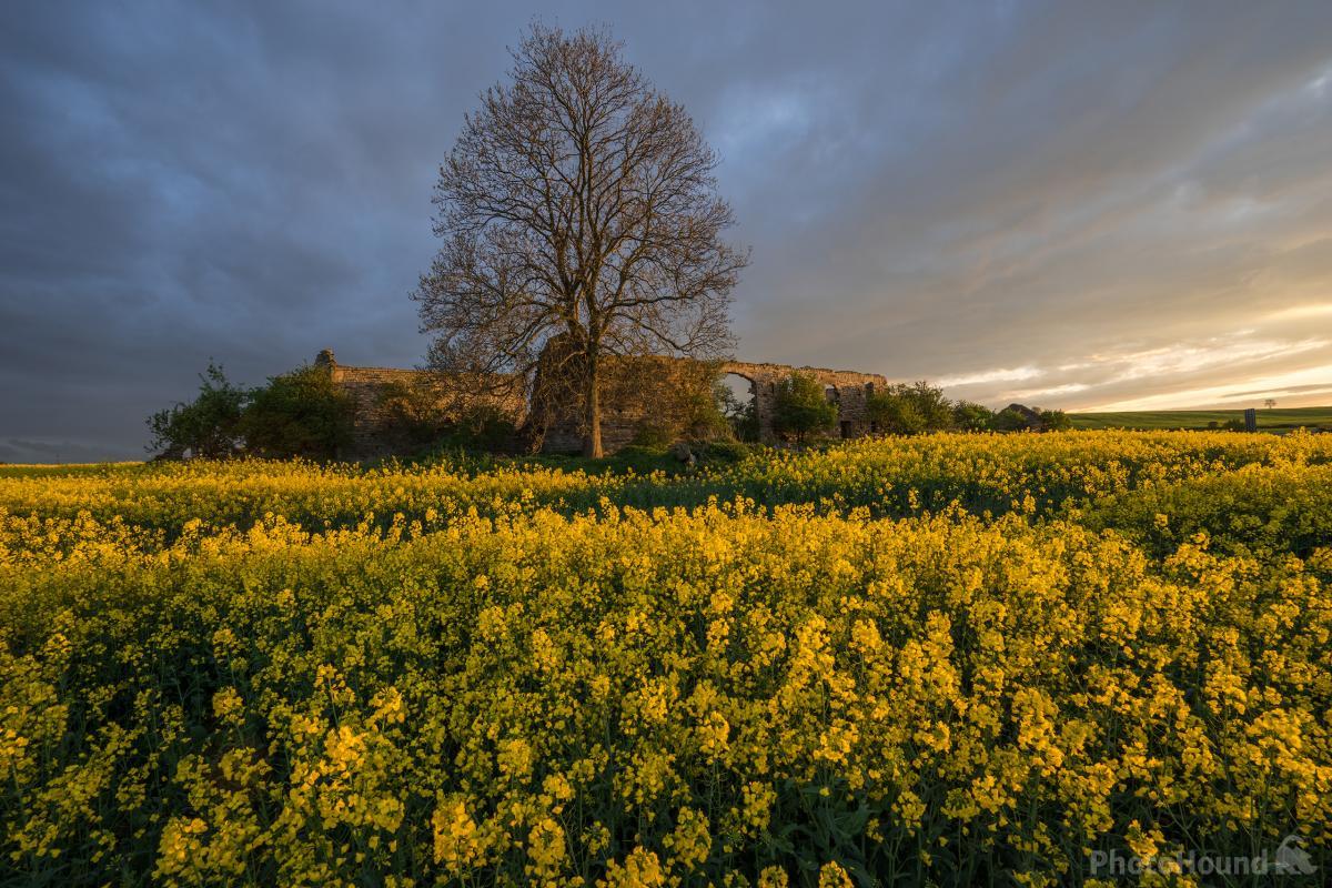 Image of Lodge Farm by James Grant