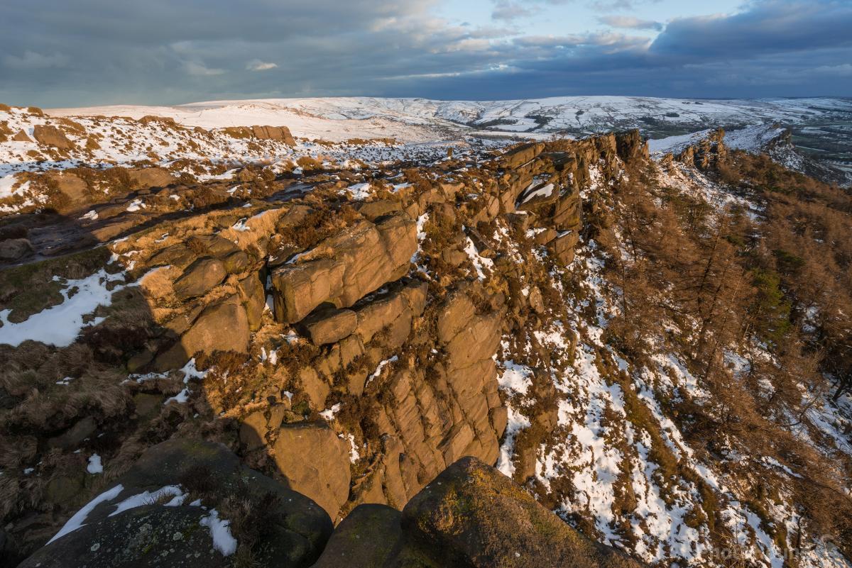Image of The Roaches by James Grant