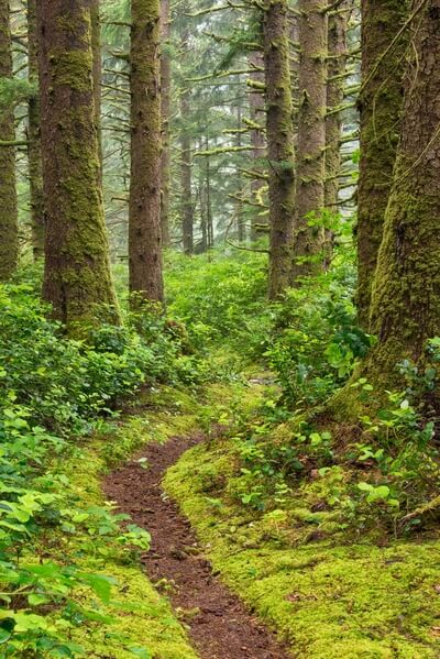 Oregon Coast Trail 