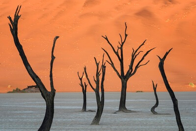 Namibia photo locations - Deadvlei General Info