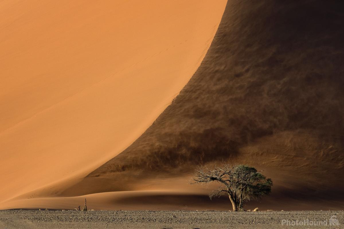 Image of Dunes – General Info by Hougaard Malan
