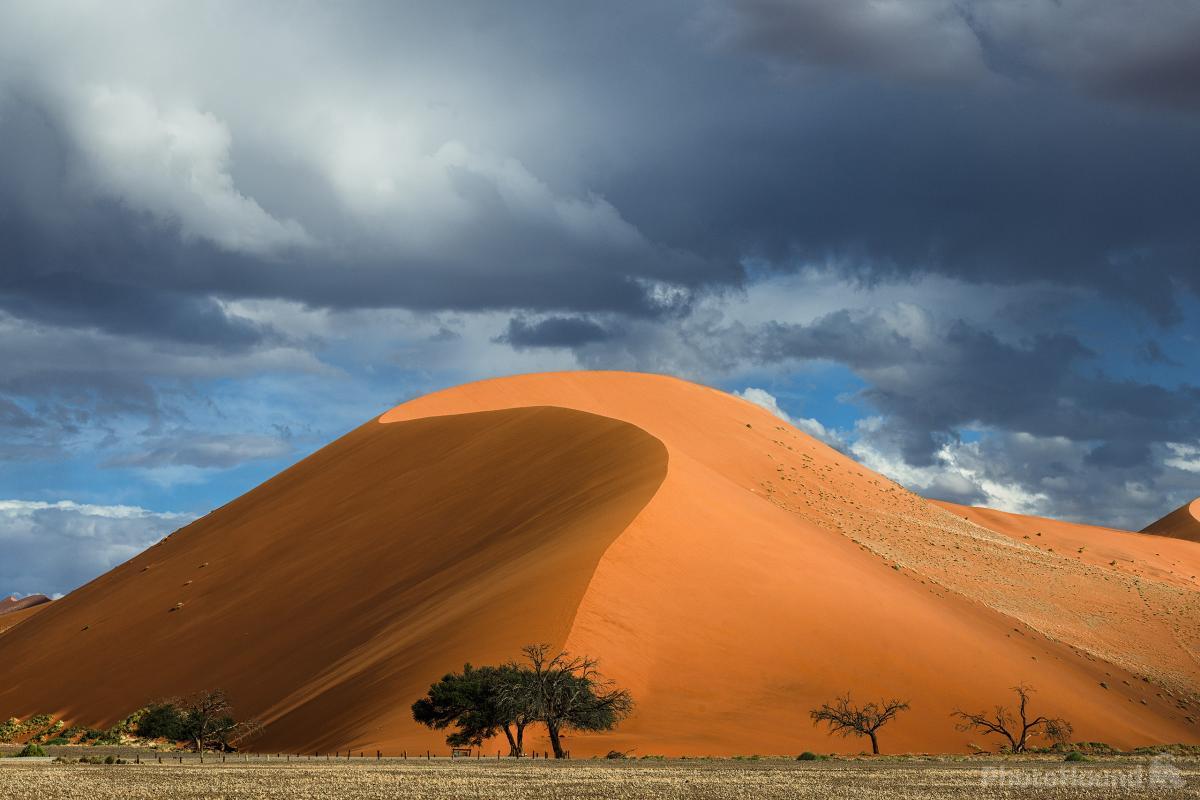 Image of Dune 45 by Hougaard Malan