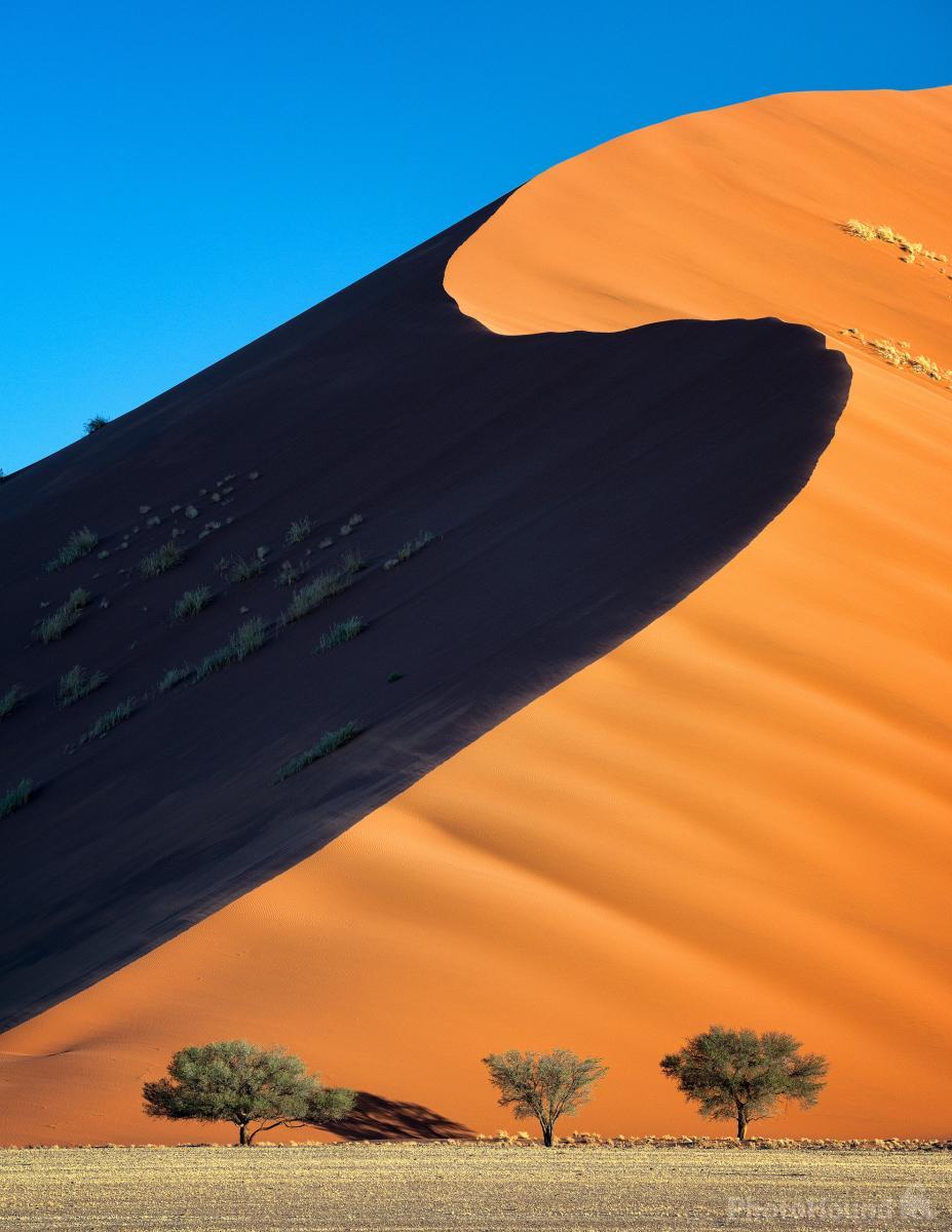 Image of Three Tree Dune by Hougaard Malan