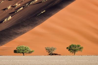 photos of Sossusvlei - Three Tree Dune