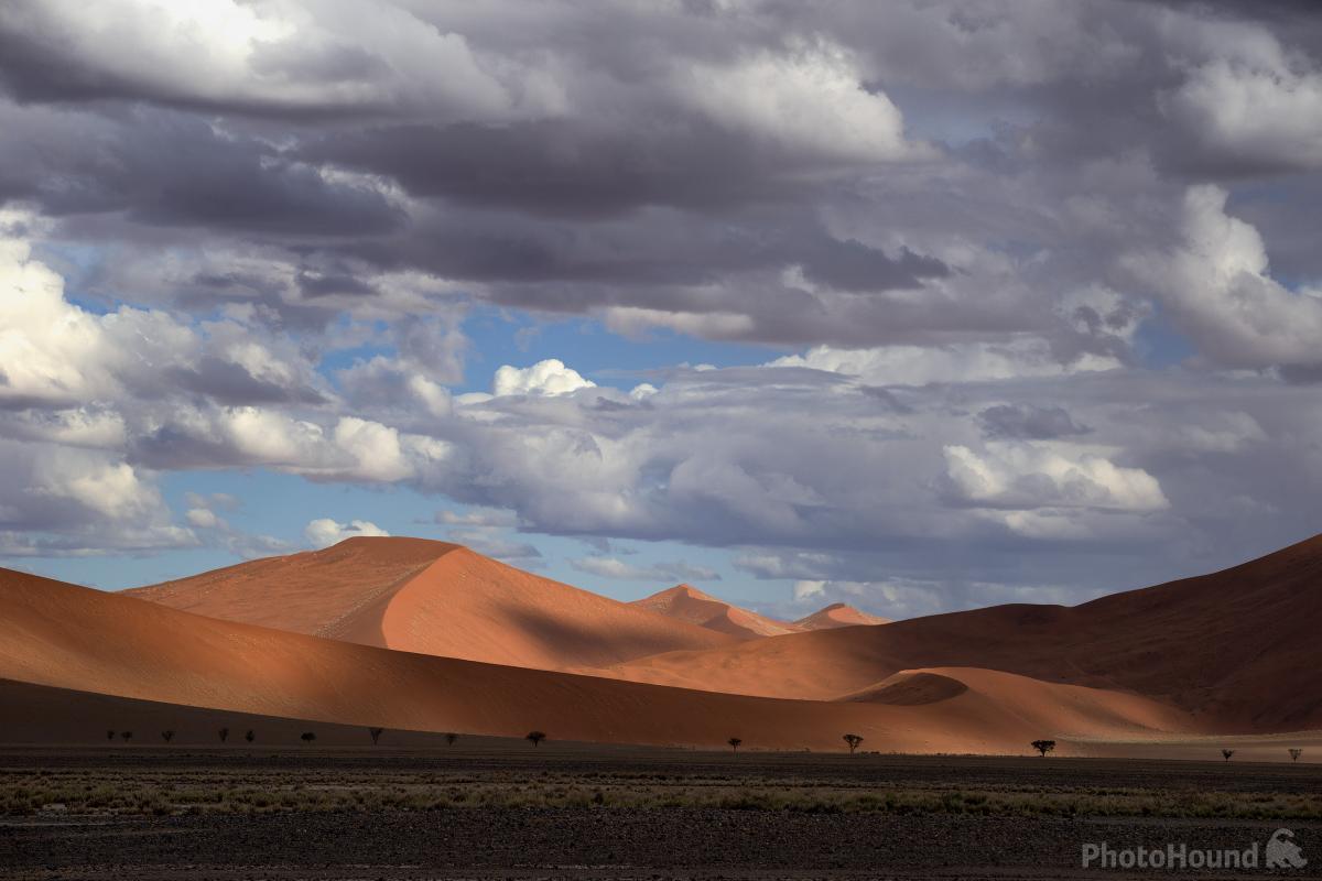 Image of Dunes – General Info by Hougaard Malan