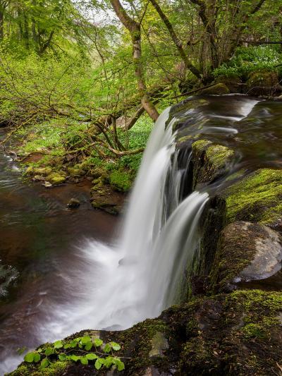 pictures of The Yorkshire Dales - Crackpot Falls, Swaledale