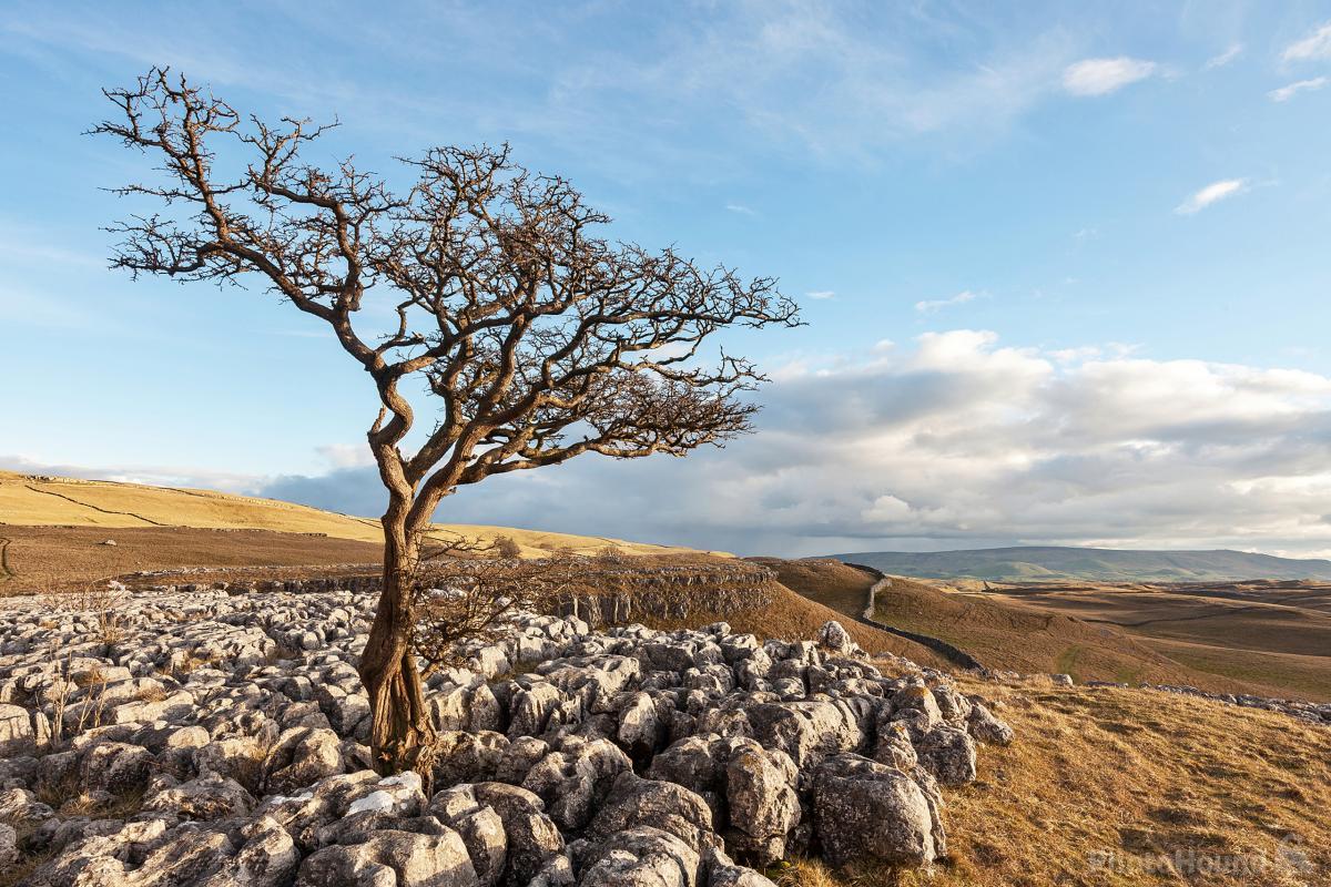Image of Conistone Pie by Mat Robinson