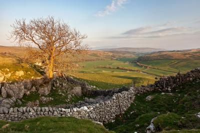 photos of The Yorkshire Dales - Knipe Scar, Wharfedale