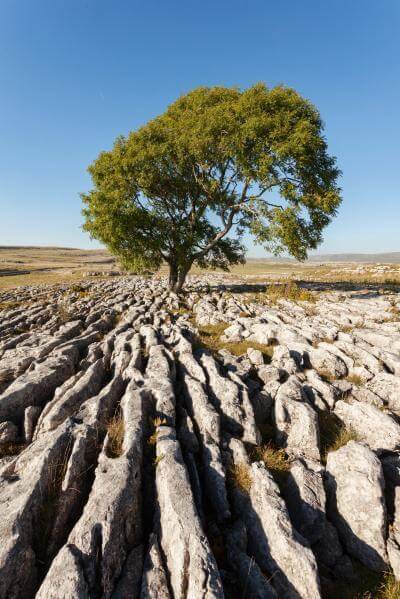 The Yorkshire Dales photography spots - Malham Cove