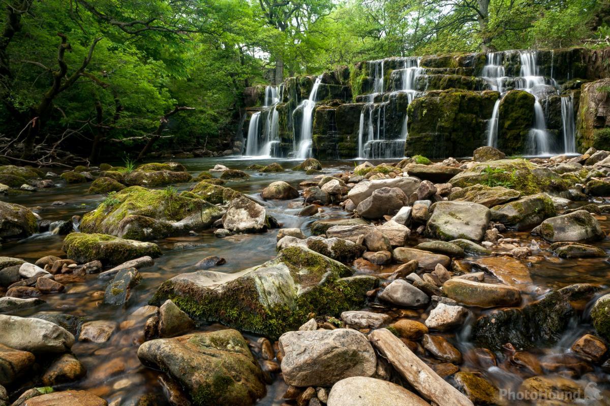 Image of Orgate Force by Mat Robinson