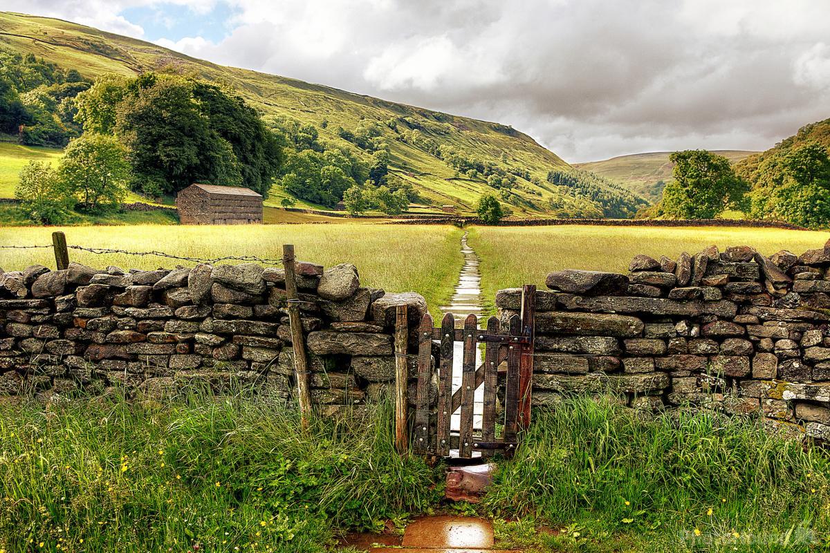 Image of Muker Meadows, Swaledale by Mat Robinson