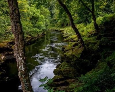 pictures of The Yorkshire Dales - The Strid, Wharfedale