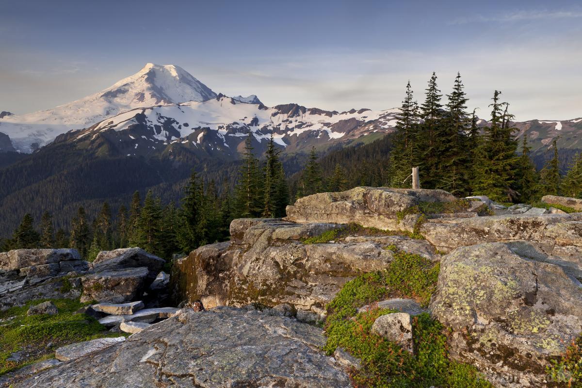 Image of Cougar Divide by T. Kirkendall and V. Spring