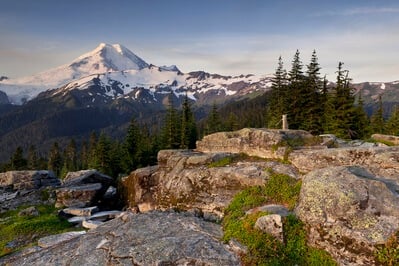 Morning on Cougar Ridge