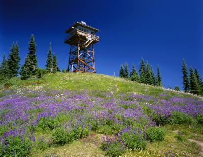 images of North Cascades - Lookout Mountain