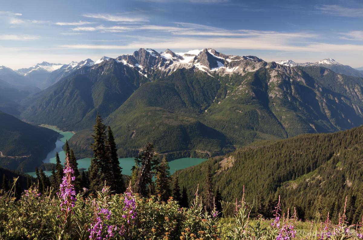 Image of Sourdough Mountain Lookout by T. Kirkendall and V. Spring
