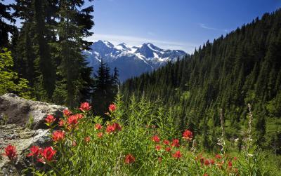 photos of North Cascades - Sourdough Mountain Lookout