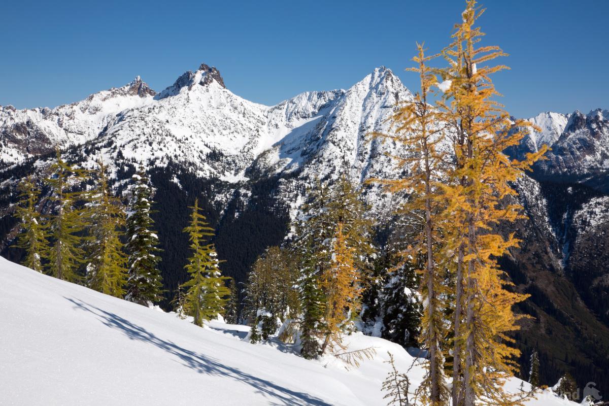 Image of Maple Pass Loop by T. Kirkendall and V. Spring